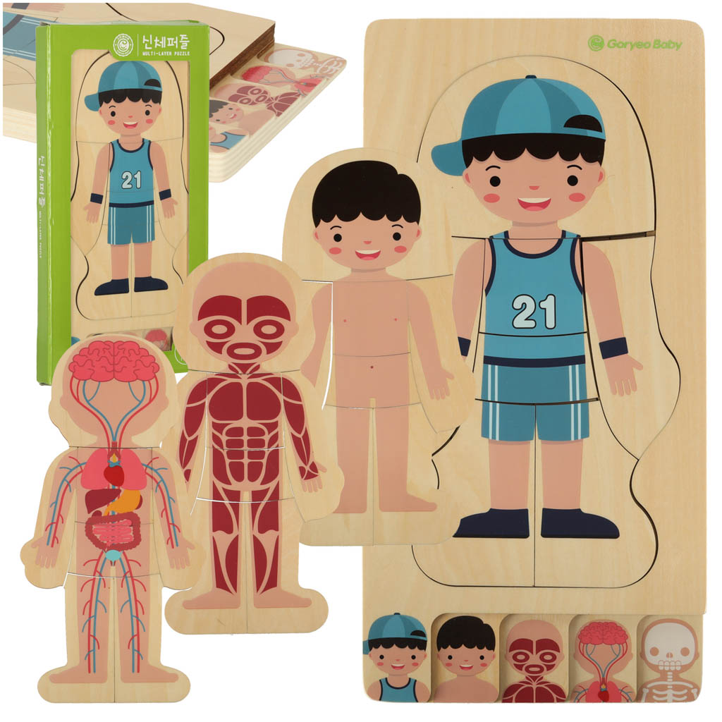 Puzzle drewniane warstwowe budowa ciala montessori chlopiec