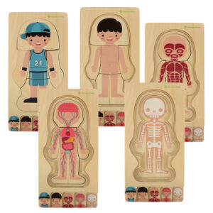 Puzzle drewniane warstwowe budowa ciala montessori chlopiec