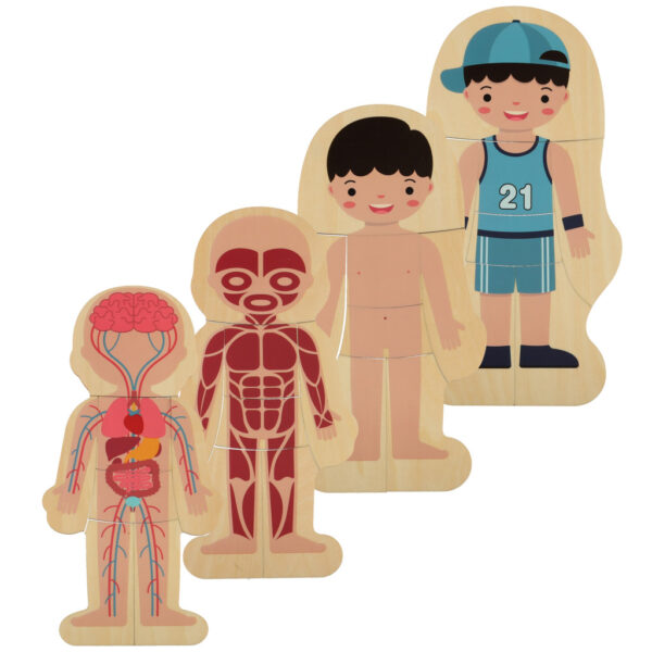 Puzzle drewniane warstwowe budowa ciala montessori chlopiec