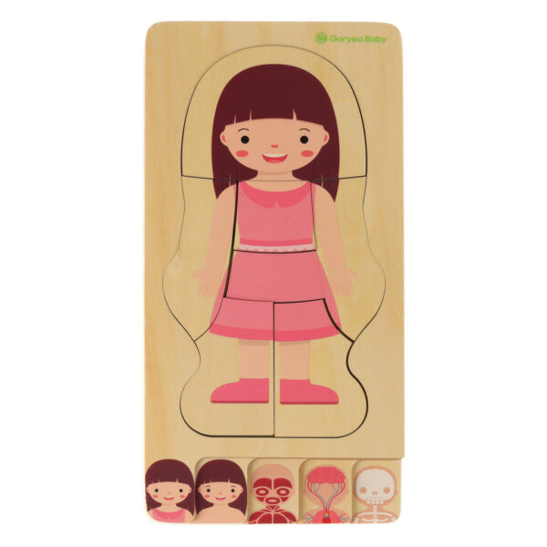 Puzzle drewniane warstwowe budowa ciala montessori dziewczynka