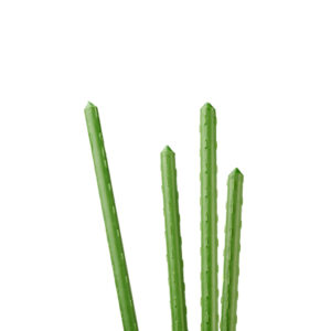 Tyczka palik do pomidorow roslin 120 cm 10 szt