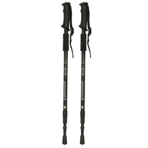 Kijki kije trekkingowe do nordic walking skladane 2 sztuki czarne 172803.jpg