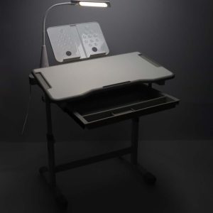 Kinder-Schulpult mit verstellbarem Stuhl und LED-Lampe, USB, grau 175587.jpg