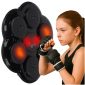 Wall-mounted boxing training shield trainer with music, LED, USB, gloves 175399.jpg