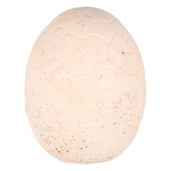 Dinozaury wykopaliska jajko dinozaura 12 figurek zestaw archeologiczny 178735.jpg