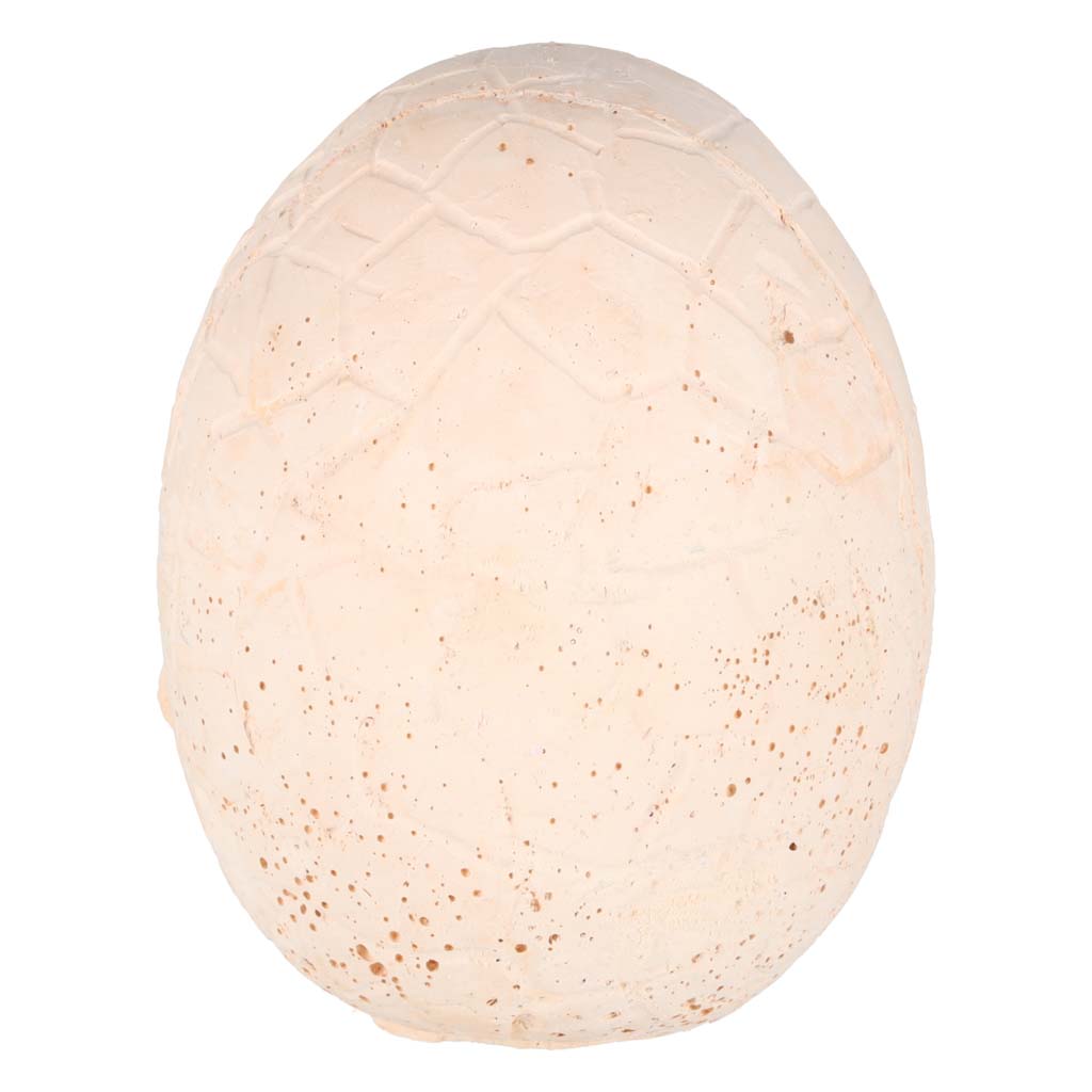 Dinozaury wykopaliska jajko dinozaura 12 figurek zestaw archeologiczny 178735.jpg