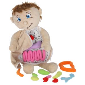 Lalka maskotka nauka anatomii chlopiec 178701.jpg