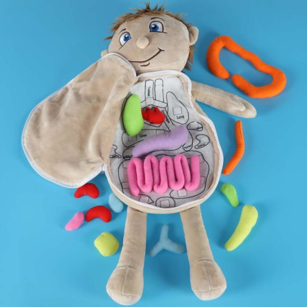 Lalka maskotka nauka anatomii chlopiec 178702.jpg