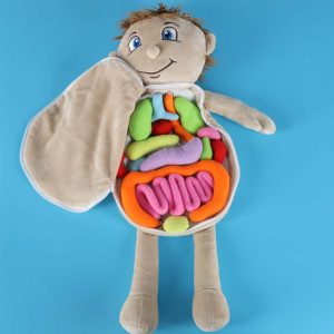 Lalka maskotka nauka anatomii chlopiec 178703.jpg