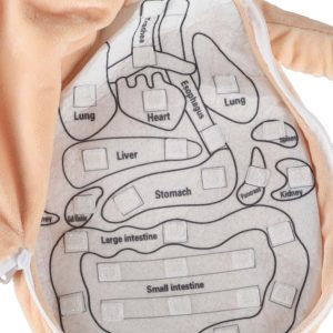 Lalka maskotka nauka anatomii dziewczynka 178712.jpg