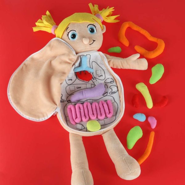 Lalka maskotka nauka anatomii dziewczynka 178714.jpg