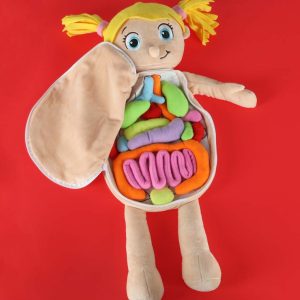 Lalka maskotka nauka anatomii dziewczynka 178715.jpg